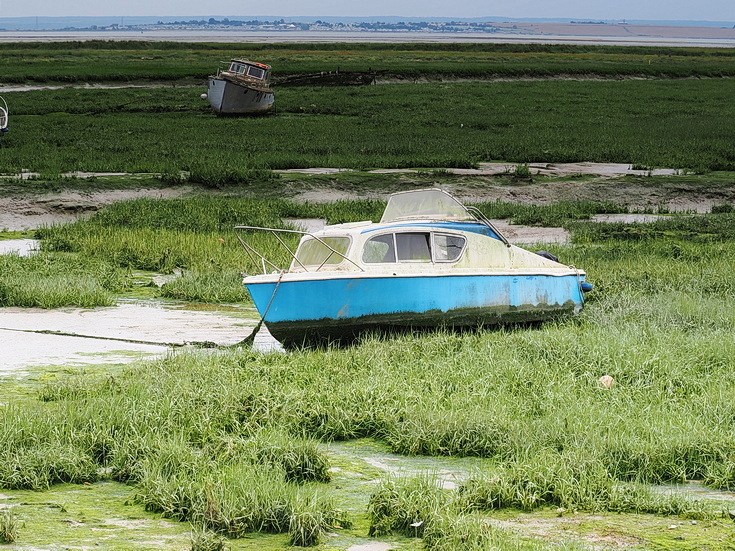 Swimmers and stranded boats on a sea of mud in the shadow of the oil refineries: Leigh on Sea in the summer 