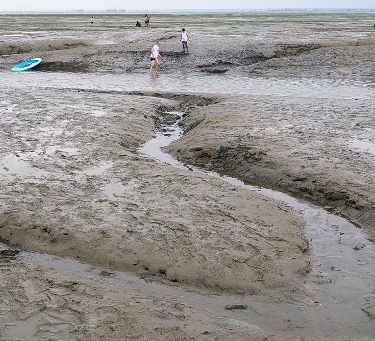 Swimmers and stranded boats on a sea of mud in the shadow of the oil refineries: Leigh on Sea in the summer 