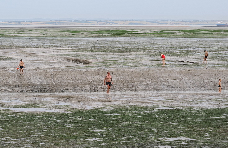 Swimmers and stranded boats on a sea of mud in the shadow of the oil refineries: Leigh on Sea in the summer 