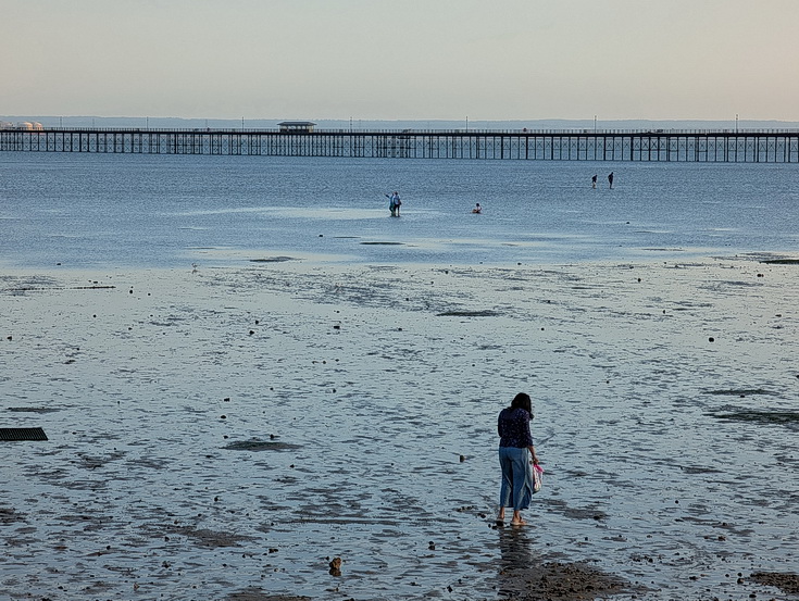 Photo Gallery: a walk from Leigh-on-Sea to Southend and along the world's longest pleasure pier
