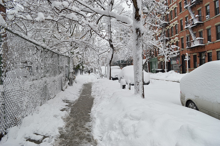 Manhattan snowstorn - view the snowy sreets of New York in our photogallery