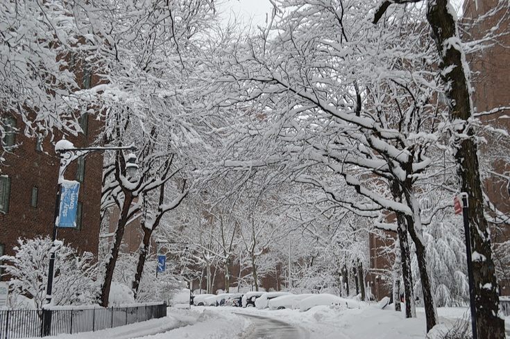 Manhattan snowstorn - view the snowy sreets of New York in our photogallery
