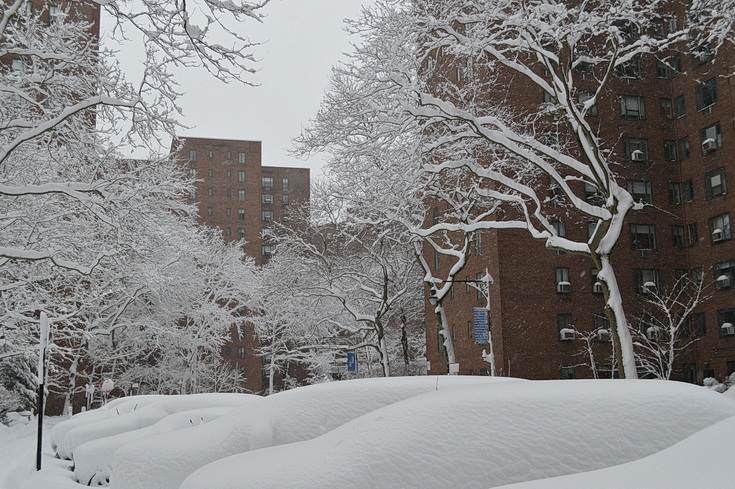 Manhattan snowstorn - view the snowy sreets of New York in our photogallery