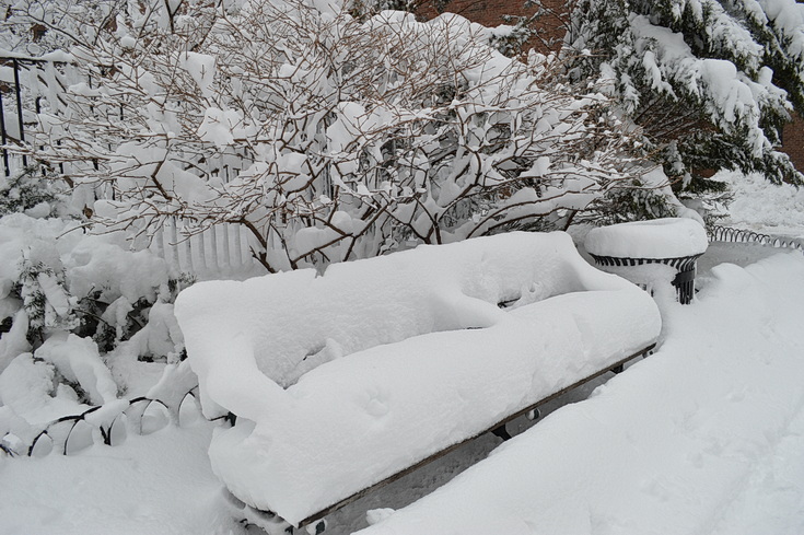 Manhattan snowstorn - view the snowy sreets of New York in our photogallery