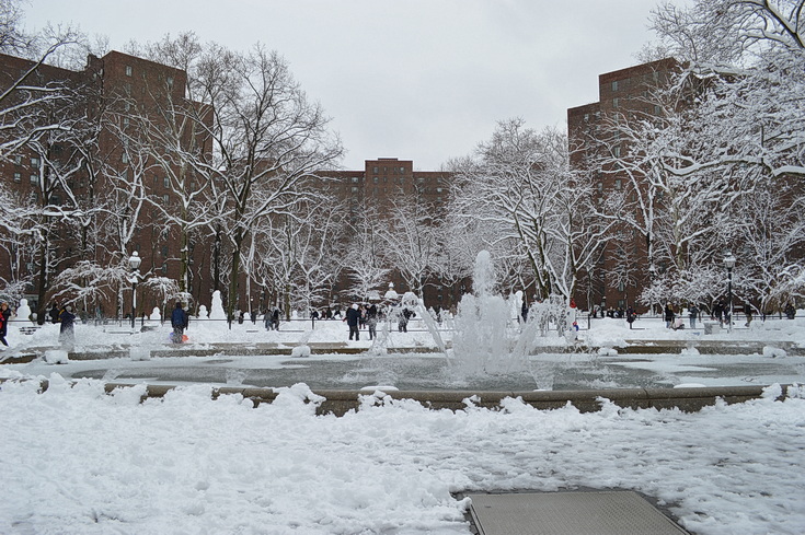 Manhattan snowstorn - view the snowy sreets of New York in our photogallery