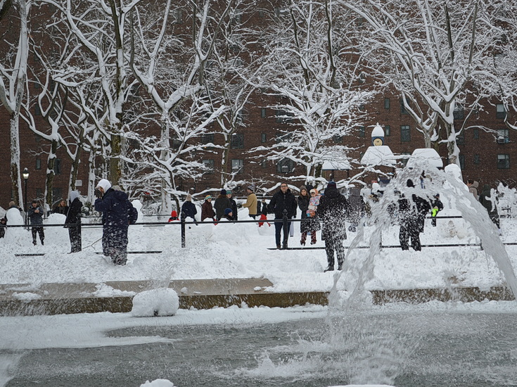 Manhattan snowstorn - view the snowy sreets of New York in our photogallery