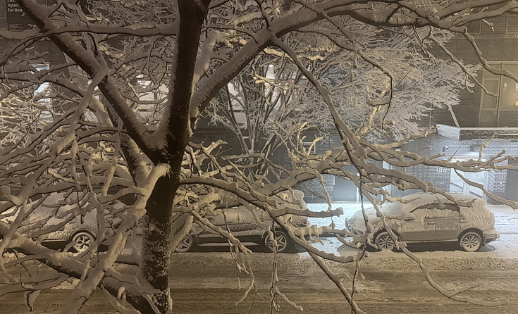 Manhattan snowstorn - view the snowy sreets of New York in our photogallery