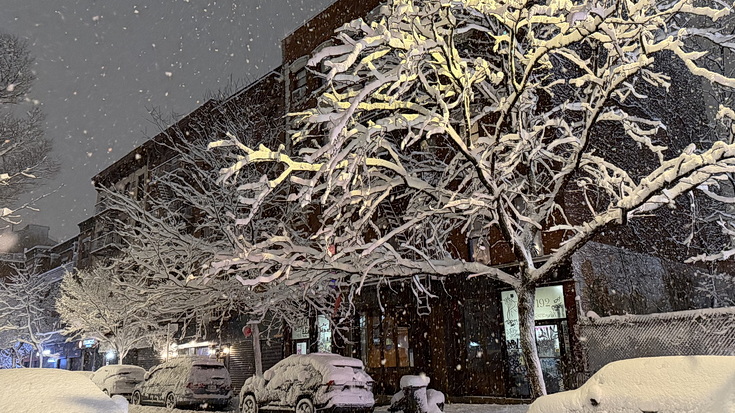 Manhattan snowstorn - view the snowy sreets of New York in our photogallery