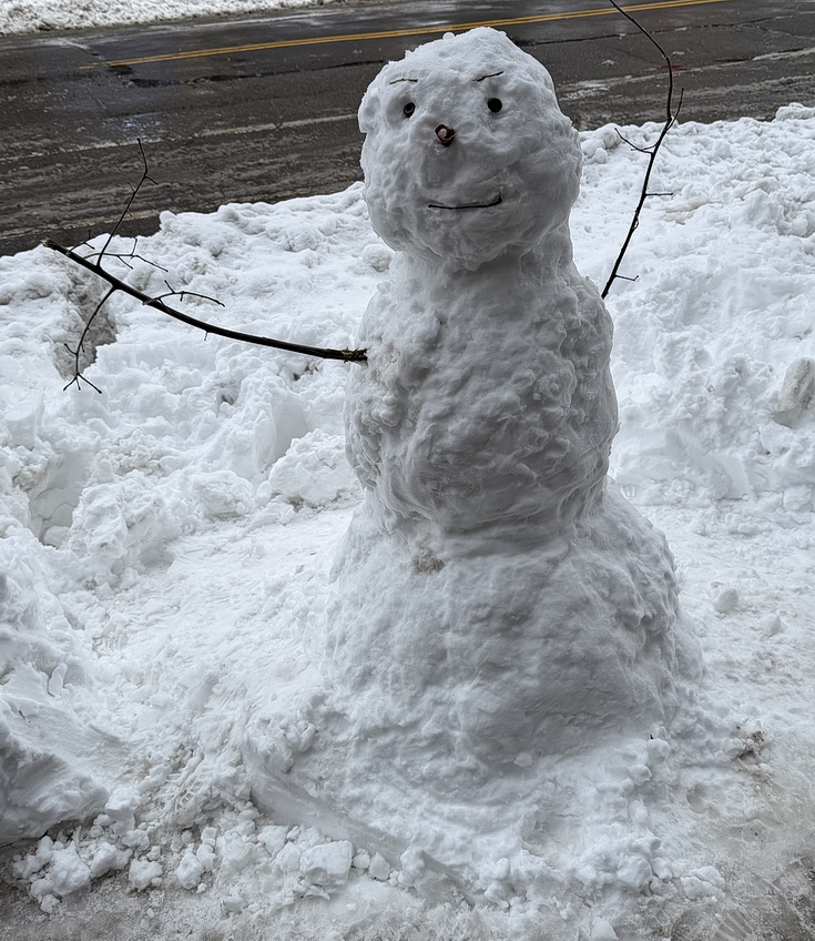 Manhattan snowstorn - view the snowy sreets of New York in our photogallery