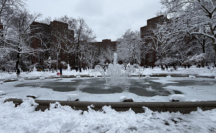 Manhattan snowstorn - view the snowy sreets of New York in our photogallery