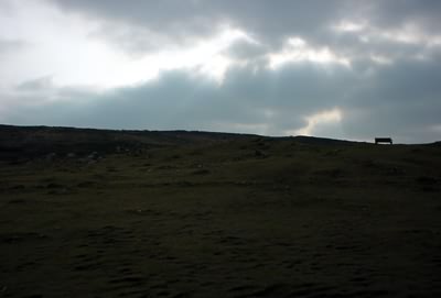 Bench and Hillside