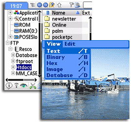 Resco Explorer 2007 for Palm OS (v3.01.2) Review (90%)
