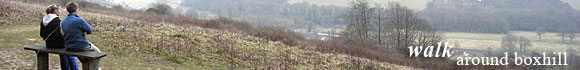 Boxhill and Westhumble, a 10 mile walk through Polesden Lacey and Ranmore Common, Surrey