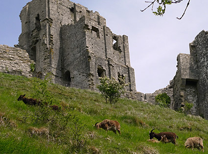 Corfe Castle town photos, streets views, castle and railway station, Isle of Purbeck walk, Dorset, May 2009 - photos, feature and comment - photos, feature and comment