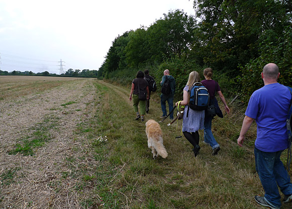 Petts Wood, Farnborough Village, Keston and Hayes walk, September 2009 - photo feature - photos, feature and comment