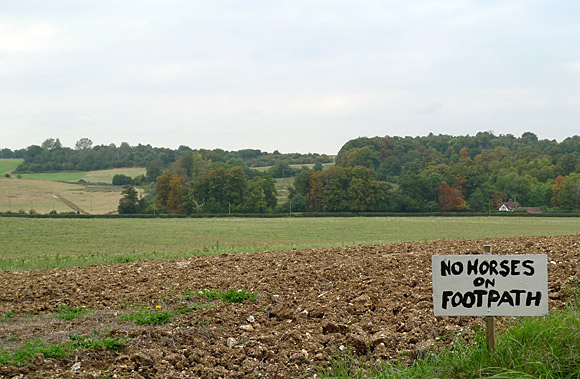 Petts Wood, Farnborough Village, Keston and Hayes walk, September 2009 - photo feature - photos, feature and comment