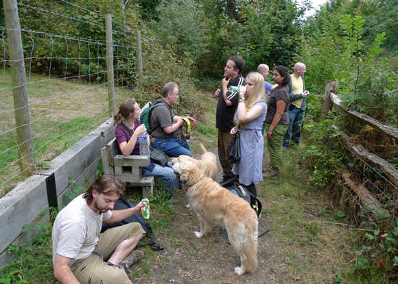 Petts Wood, Farnborough Village, Keston and Hayes walk, September 2009 - photo feature - photos, feature and comment