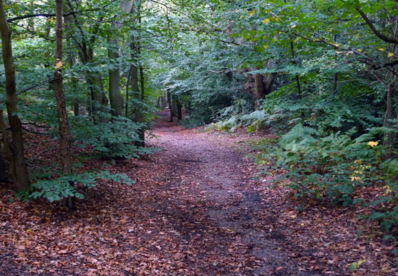 Petts Wood, Farnborough Village, Keston and Hayes walk, September 2009 - photo feature - photos, feature and comment