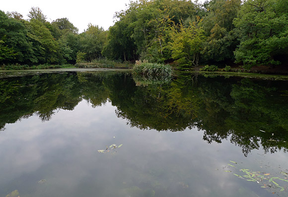 Petts Wood, Farnborough Village, Keston and Hayes walk, September 2009 - photo feature - photos, feature and comment