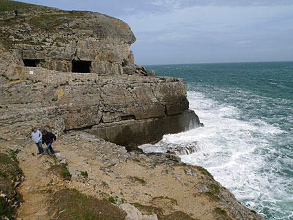 South West Coast path walk, past Anvil Point, Blackers Hole and Dancing Ledge  Dorset, May 2009 - photos, feature and comment - photos, feature and comment