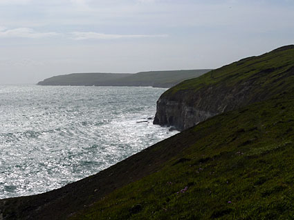 South West Coast path walk, past Anvil Point, Blackers Hole and Dancing Ledge  Dorset, May 2009 - photos, feature and comment - photos, feature and comment