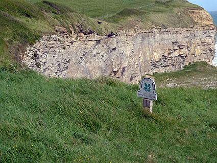 South West Coast path walk, past Anvil Point, Blackers Hole and Dancing Ledge  Dorset, May 2009 - photos, feature and comment - photos, feature and comment
