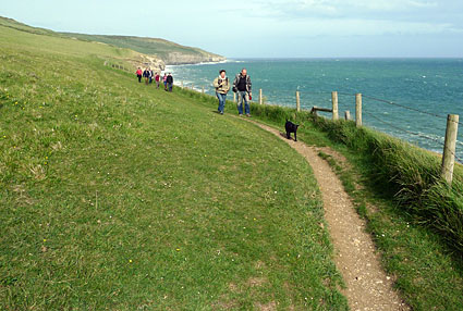 South West Coast path walk, past Anvil Point, Blackers Hole and Dancing Ledge  Dorset, May 2009 - photos, feature and comment - photos, feature and comment