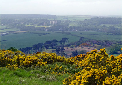 A walk from Tyneham to Worbarrow Bay, Isle of Purbeck walk, Dorset, May 2009 - photos, feature and comment - photos, feature and comment