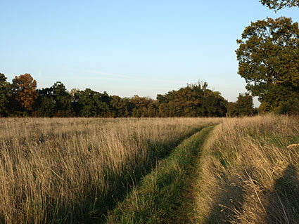 Watling Chase Timberland Trail, an 11 mile walk from Borehamwood towards St Albans, Hertfordshire