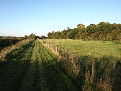 Watling Chase Timberland Trail, an 11 mile walk from Borehamwood towards St Albans, Hertfordshire