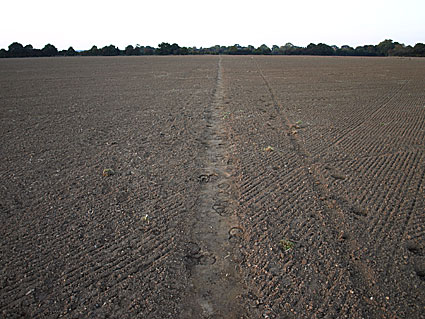 Watling Chase Timberland Trail, an 11 mile walk from Borehamwood towards St Albans, Hertfordshire